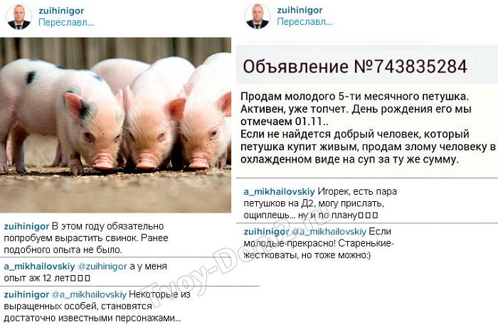 Алексей Михайловский считает проект свинофермой