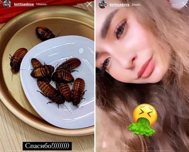 Екатерину Садову «угостили» тараканами
