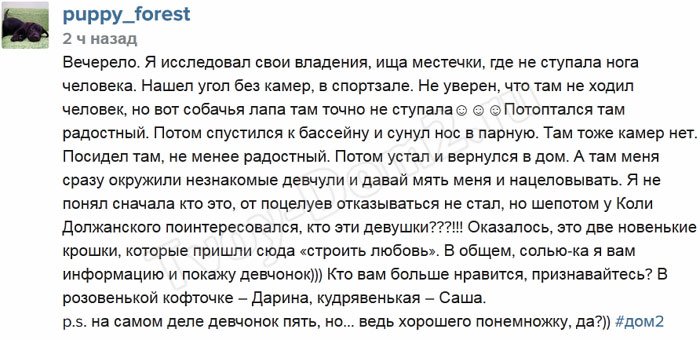 Новости от Фореста: У нас в периметре двое новеньких