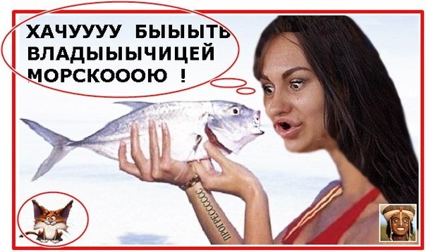 Приколы про Дом-2 (20.05.2015)