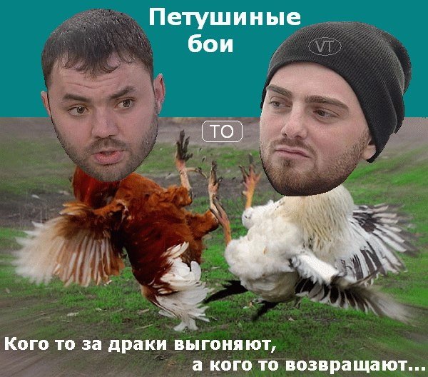 Приколы про Дом-2 (20.05.2015)
