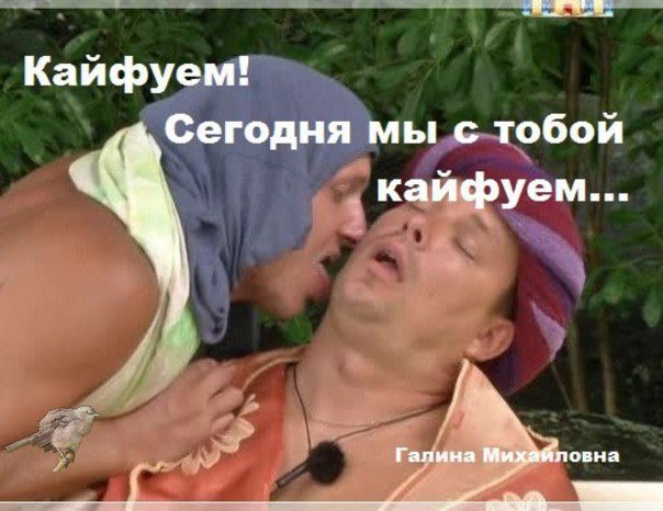 Приколы про Дом-2 (25.01.2016)