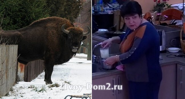 Мнение: Марина Викторовна - настоящий бизон