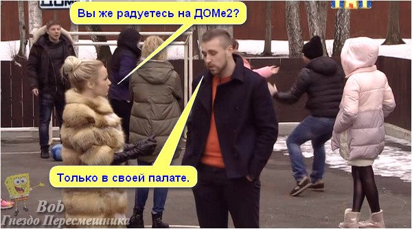 Смешные картинки от Боба (4.04.2016)