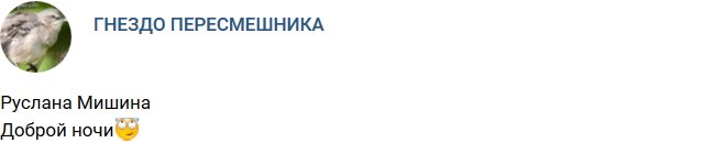 Руслана Мишина спровоцировала слухи о беременности