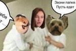 Приколы про Дом-2 (11.06.2017)