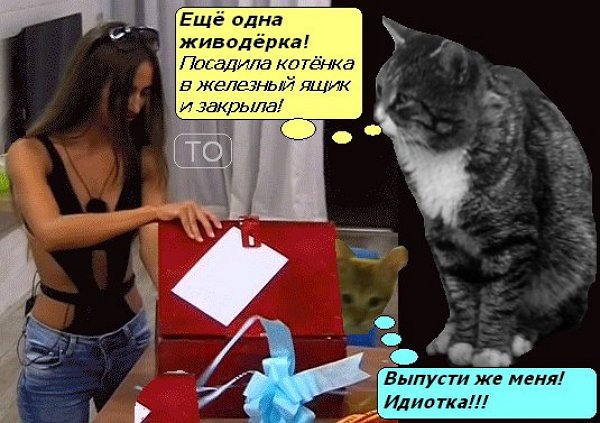 Приколы про Дом-2 (15.04.2018)