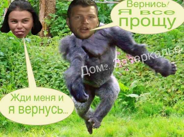 Приколы про Дом-2 (4.09.2018)