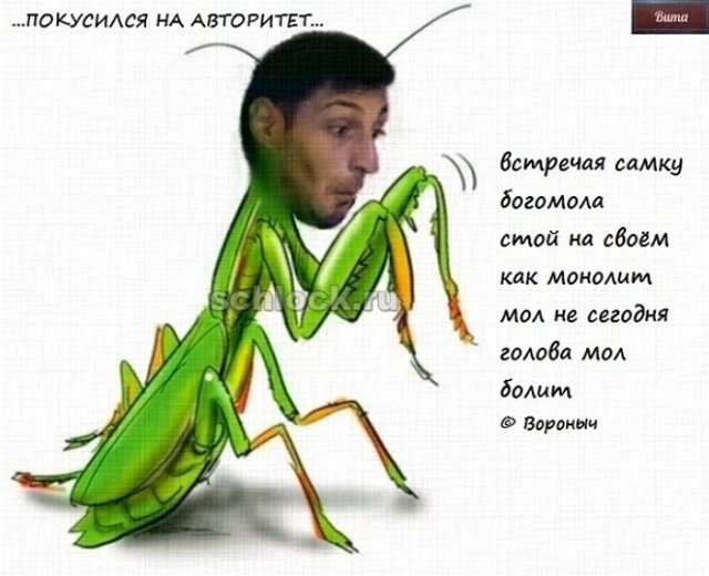 Приколы про Дом-2 (12.09.2018)