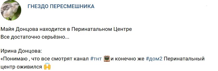 Майя Донцова попала в больницу