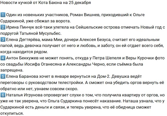 Новости на 25.12.2018 от Кота Баюна