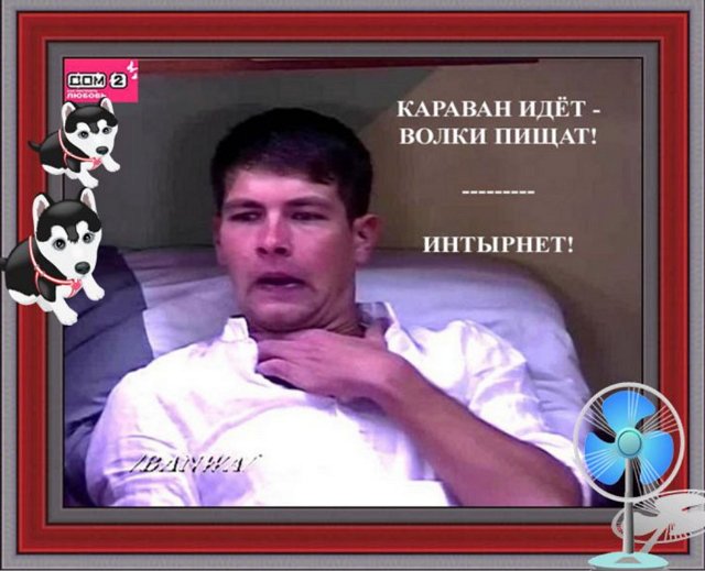 Приколы про Дом-2 (2.01.2019)