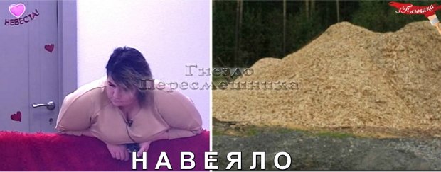 Приколы про Дом-2 (13.01.2019)