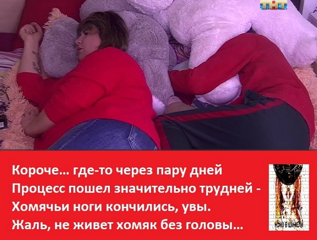 Приколы про Дом-2 (13.01.2019)