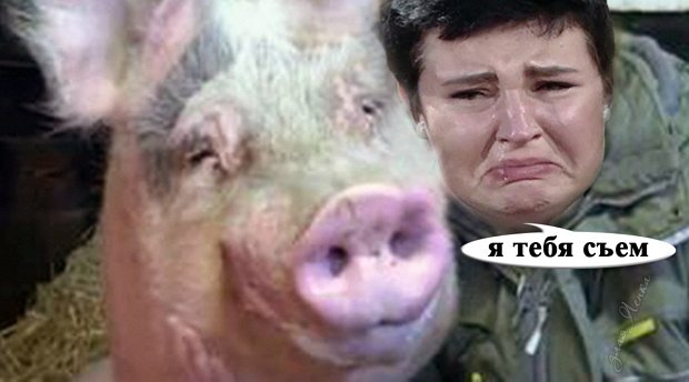 Приколы про Дом-2 (27.06.2019)