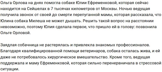 Ольга Орлова помогла собаке Юлии Ефременковой