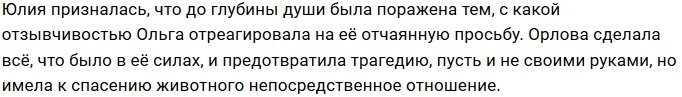 Ольга Орлова помогла собаке Юлии Ефременковой