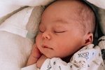 Свежие фото детей участников проекта (16.08.2019)