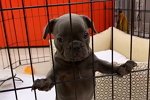 Марина Африкантова: Как мне назвать мою девочку?