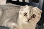Александра Черно: Моя взяла!
