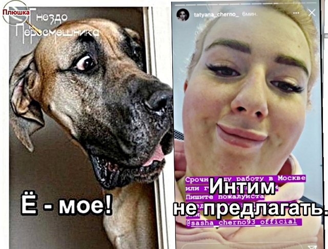 Приколы про Дом-2 (12.10.2020)