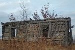 Роман Тертишный: Организационные решения привели в никуда
