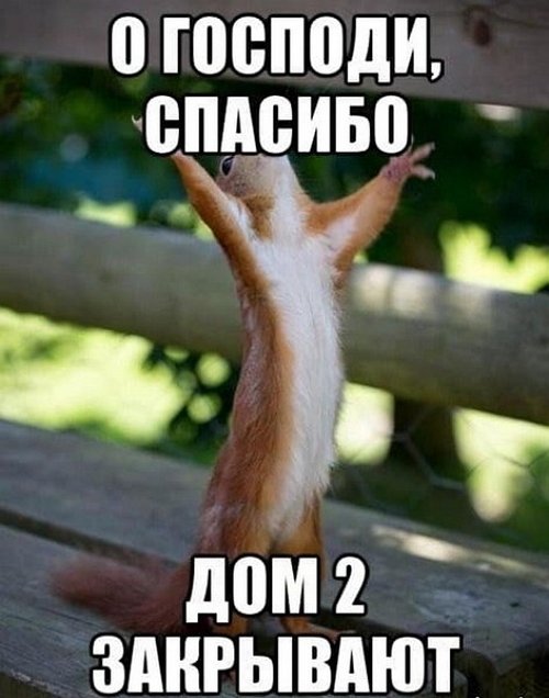 Приколы про Дом-2 (22.12.2020)