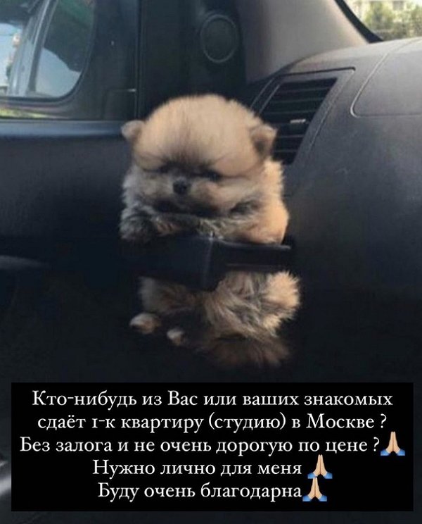 Екатерина Скалон: Срочно! Сниму квартиру в Москве!