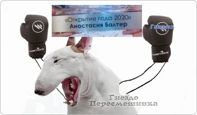 Приколы про Дом-2 (29.12.2020)