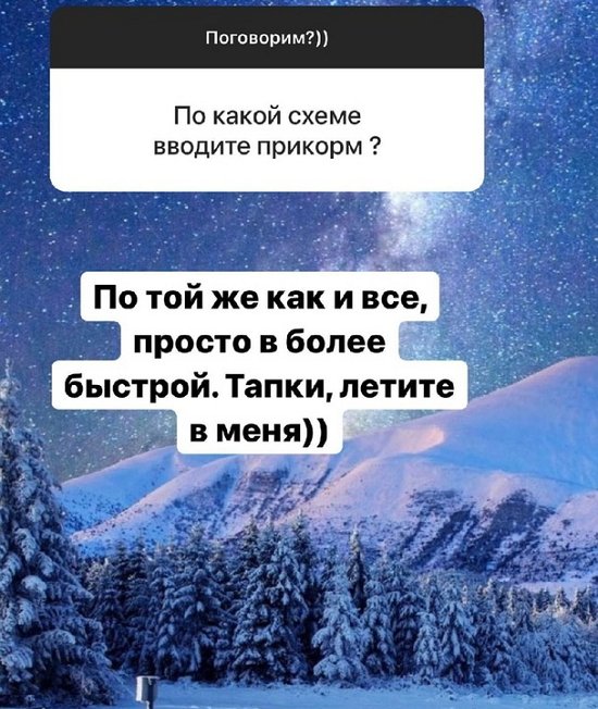Александра Черно: Порой очень сильно хочу девочку