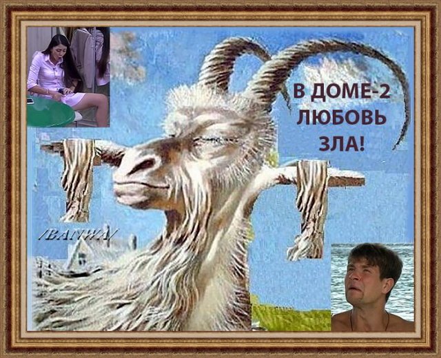 Приколы про Дом-2 (17.01.2021)