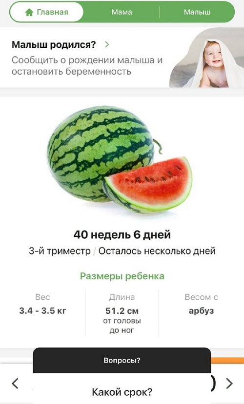 Анна Левченко: Сын тоже будет Блюменкранц