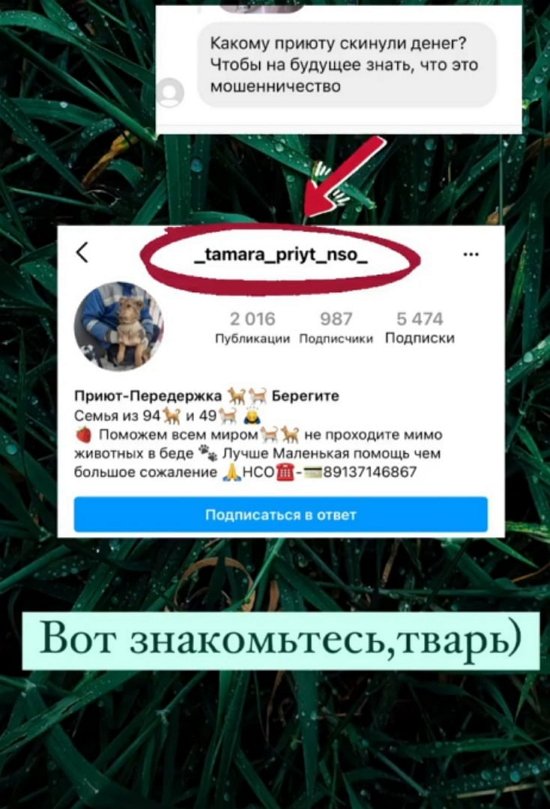 Ирина Пинчук: Все настроение испортилось!