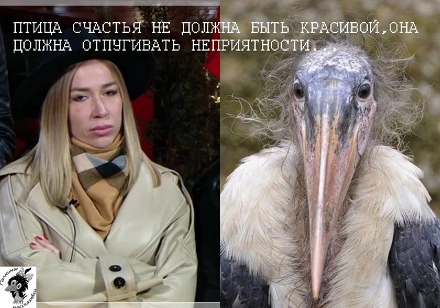 Приколы про Дом-2 (19.05.2021)