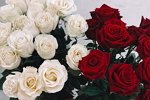 Мария Давидова: Чувствую себя рядом с ним принцессой