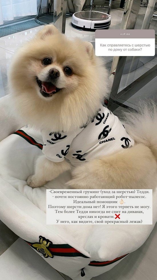 Евгения Феофилактова: Своевременный груминг и робот-пылесос
