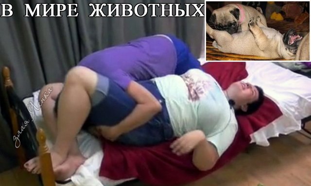 Приколы про Дом-2 (6.07.2021)
