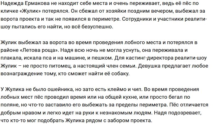 Собака Надежды Ермаковой сбежала с поляны