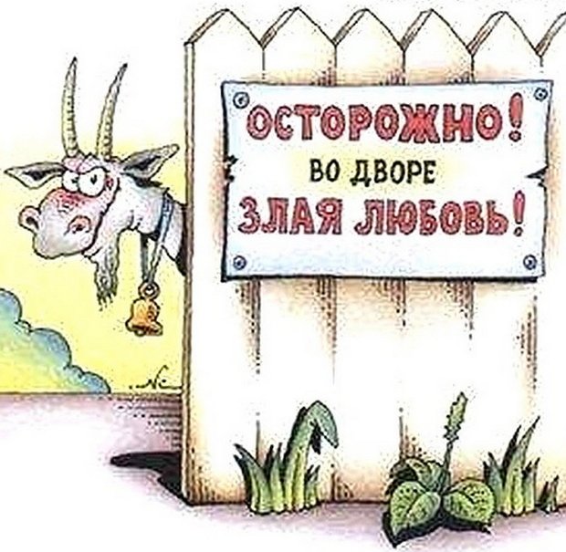 Зрительский обзор последних событий (20.07.2021)