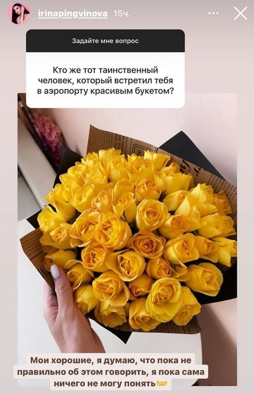 Ирина Пингвинова: Пока неправильно об этом говорить