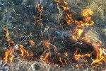Роман Тертишный: Я бы погнал их с канала «Ю» за предательство