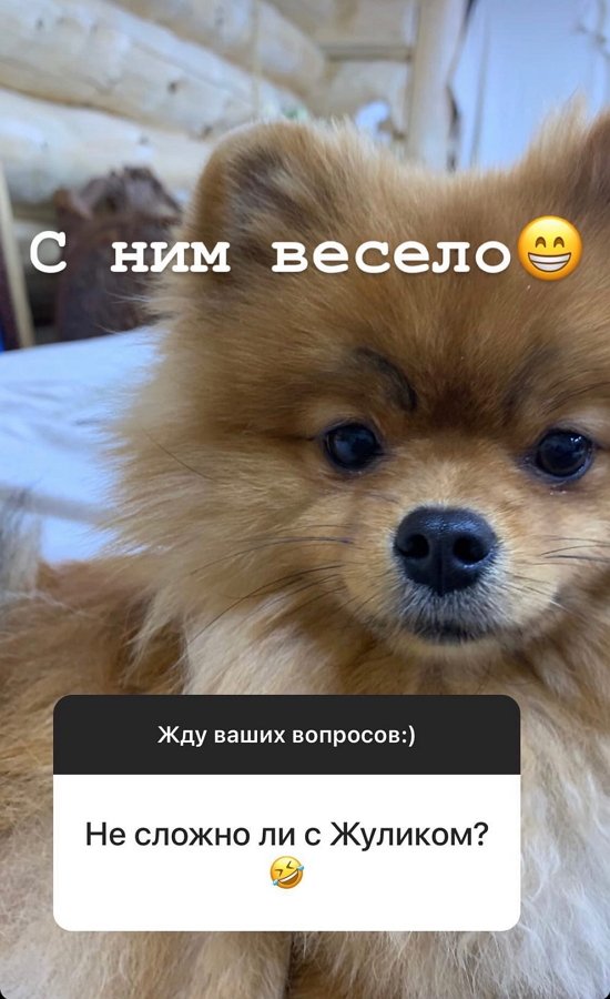 Даниэль Чистов: Верность, честность, оптимизм