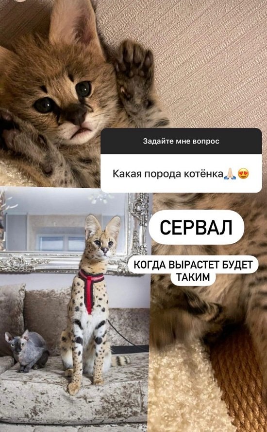 Диана Игнатюк: Медитация, завтрак, спорт