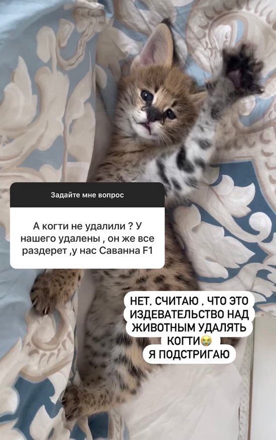 Диана Игнатюк: Медитация, завтрак, спорт