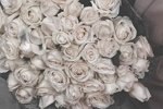 Полина Малинина: Цените моменты счастья