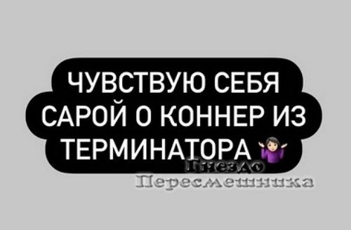Селена Майер: Во мне просыпается поэт