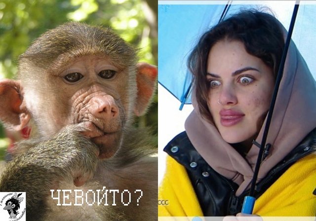Приколы про Дом-2 (31.01.2022)