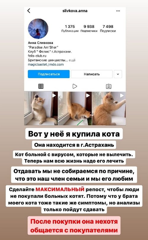 Милена Безбородова: У кота калицивирус!