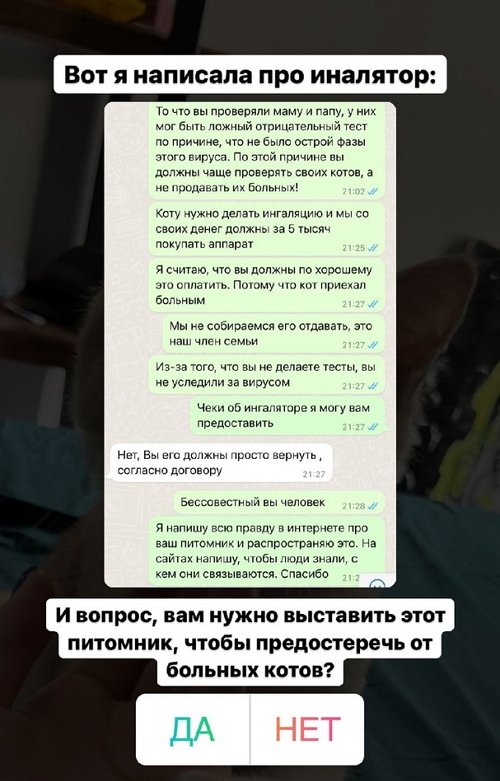 Милена Безбородова: У кота калицивирус!
