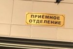 Александр Задойнов: На свет появилась новая жизнь
